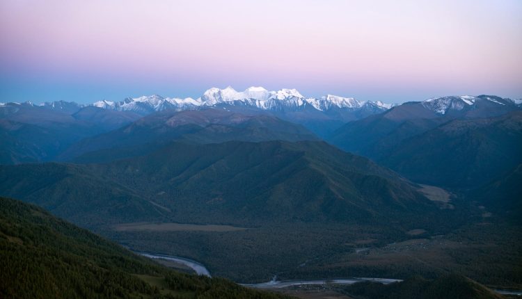 netflix kurtlar vadisi ile turk dizileri uluslararasi izleyici kitlesi